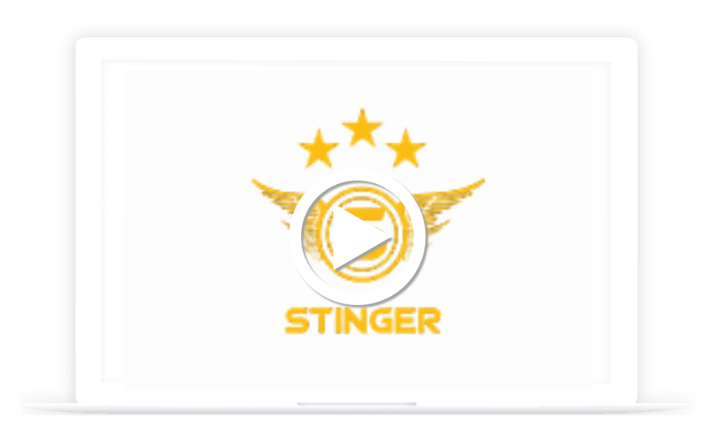 Stinger Video